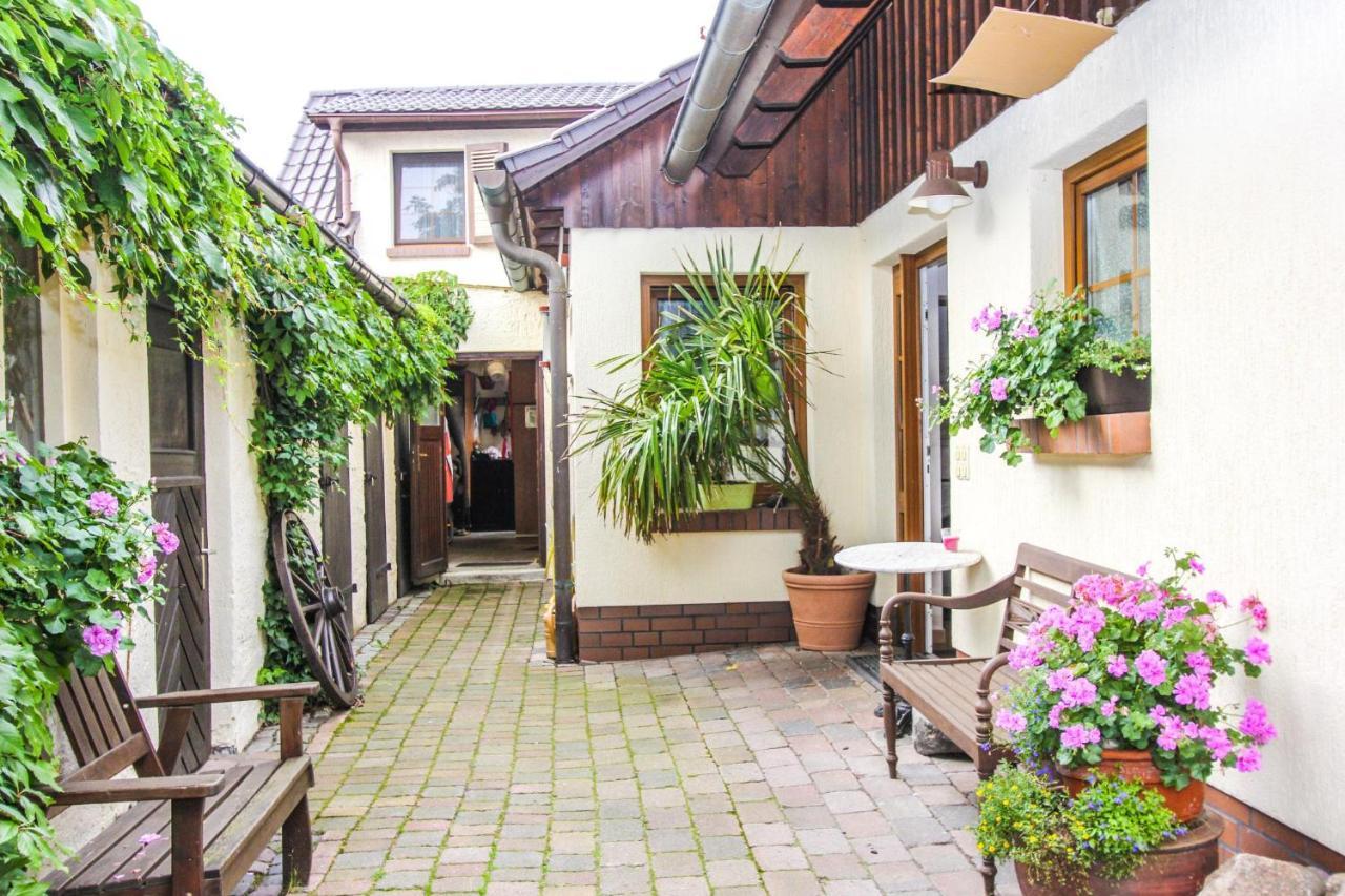 Appartement Likedeeler 3 à Zingst Extérieur photo